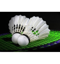 Abonnement Squash ou Badminton