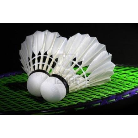 Abonnement Squash ou Badminton